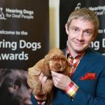 Martin Freeman, Martin Freeman Net Worth, movies, Net Worth, Profile, tv shows